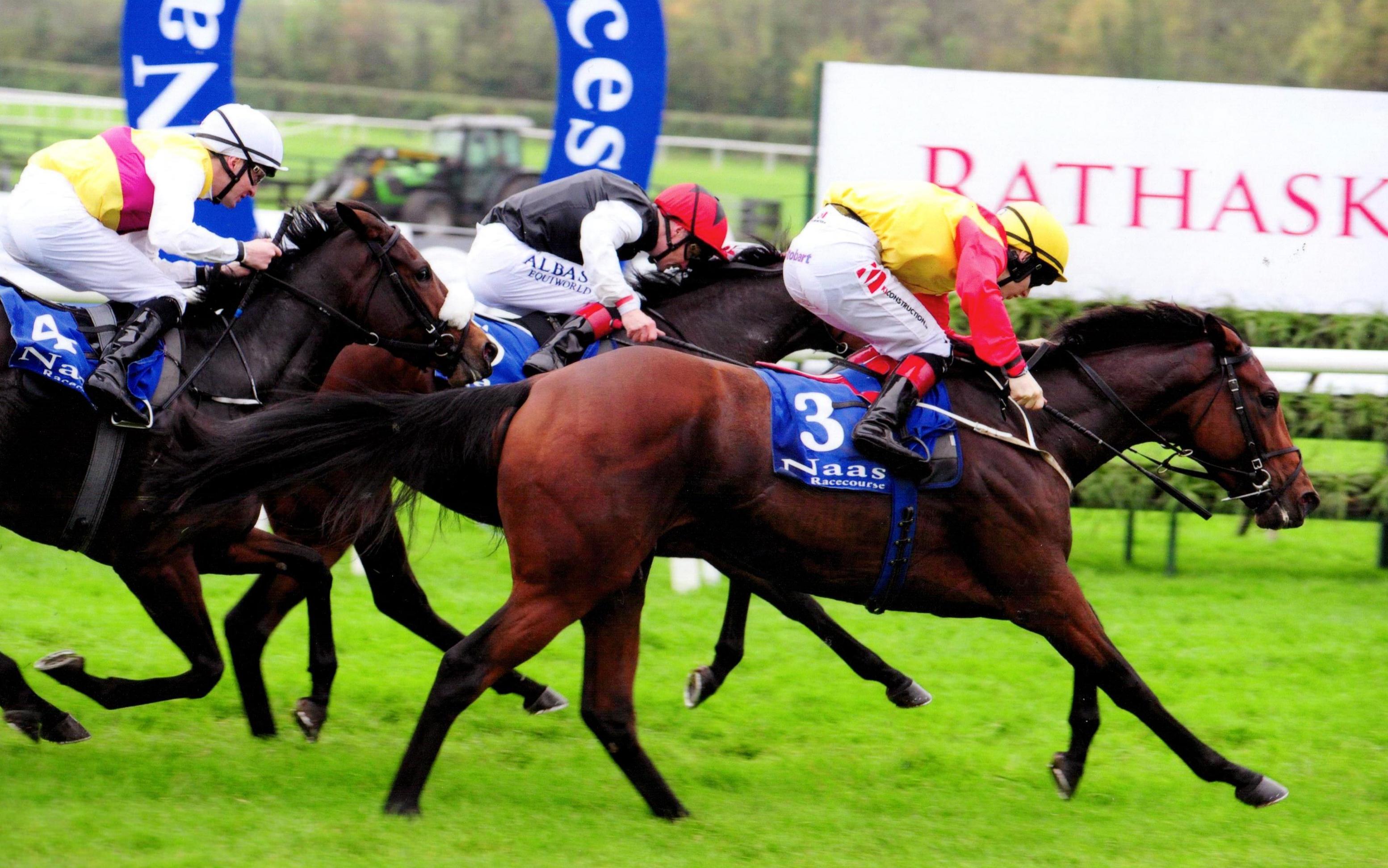 ELEGANT POSE battles to the line to bring up a treble on the card at Naas 15th October 2017